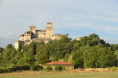 /album/parma-ed-il-castello-di-torrechiara/d56-0865-jpg1/