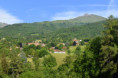 /album/pollone-il-parco-della-burcina/burcina-007-jpg/