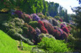 /album/pollone-il-parco-della-burcina/burcina-008-jpg/