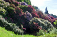 /album/pollone-il-parco-della-burcina/burcina-010-jpg/