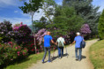 /album/pollone-il-parco-della-burcina/burcina-050-jpg/