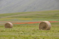 /album/norcia-e-castelluccio-una-tavolozza-di-colori1/dsc9208-jpg1/