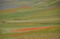 /album/norcia-e-castelluccio-una-tavolozza-di-colori1/dsc9229-jpg/